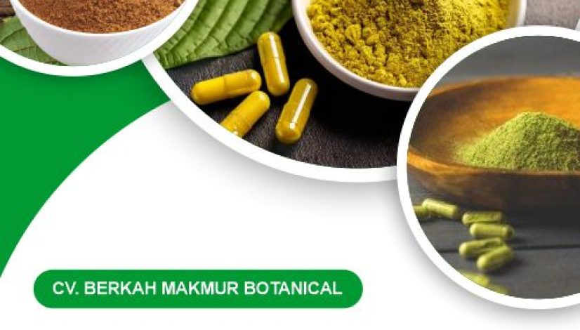 CV. Berkah Makmur Botanical Blog