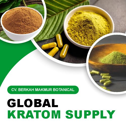 CV. Berkah Makmur Botanical Blog